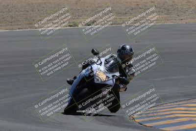 media/Apr-09-2023-SoCal Trackdays (Sun) [[333f347954]]/Turn 10 (115pm)/